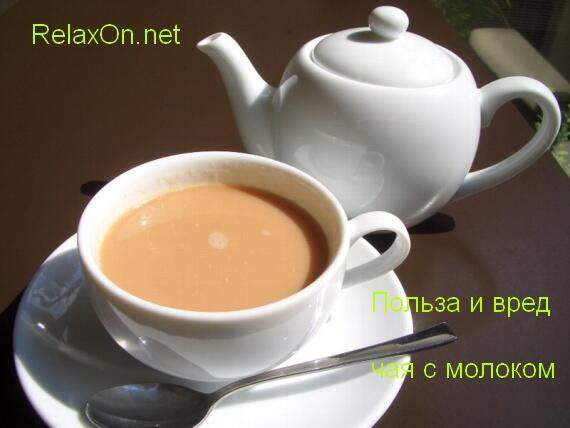 Чай с молоком польза и вред